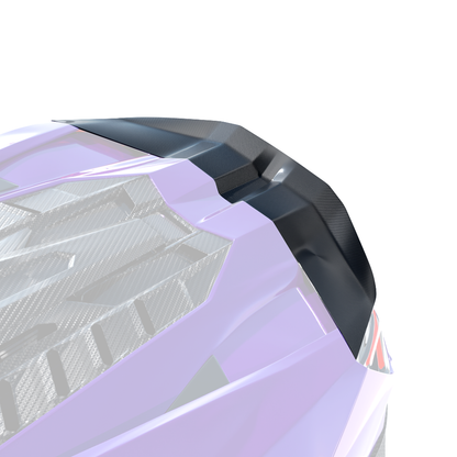 Aleron en carbono para Lamborghini Revuelto - CT Design